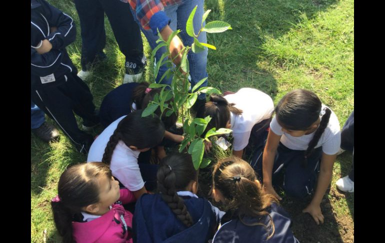 En compañía de un equipo de brigadistas forestales, los niños plantan piezas de guayabo, arrayán, capulin, entre otras. TWITTER / @SemadetJal
