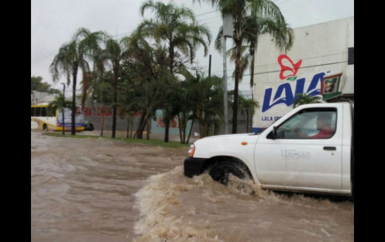 Se presentan inundaciones en calles y avenidas, así como caída de árboles. NTX / A. Covarrubias