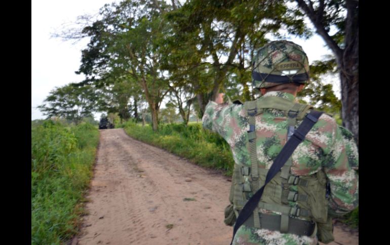 Las FARC tendrían 14 mil armas largas y cortas, y seis mil más 'que tienen que ver con granadas de fragmentación'. AFP / ARCHIVO