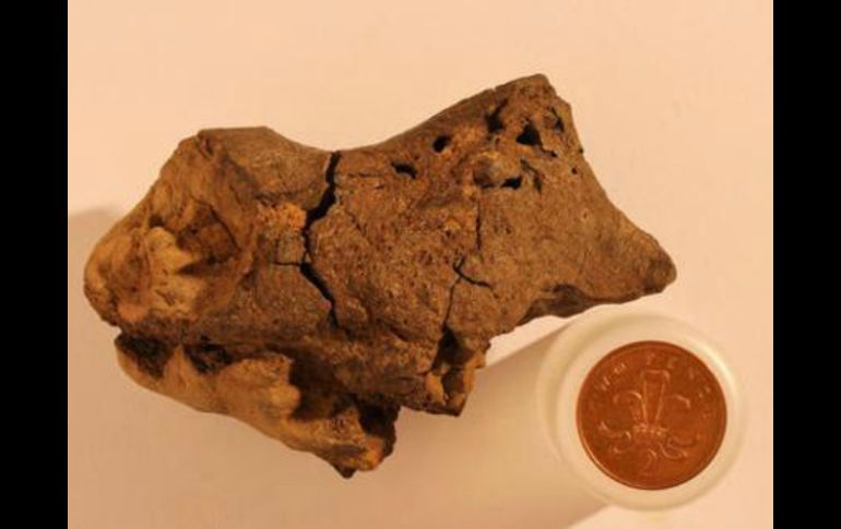 El trozo fosilizado mide alrededor de 10 centímetros por cinco centímetros. YOUTUBE /  Cambridge University