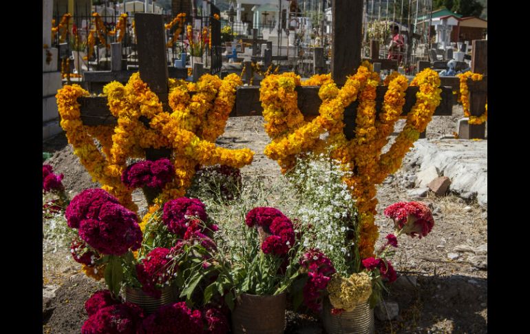 Durante el primer Día de Muertos, las tumbas se empiezan a cubrir de las diferentes flores que se cultivan en estos días. NTX / J. Espinosa