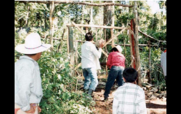 Representantes campesinos indicaron que las familias que habitaban el poblado poseían el predio desde junio de 2006. EL INFORMADOR / ARCHIVO