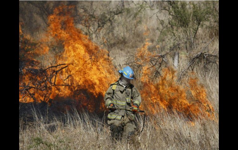 El incendio consumió mil hectáreas, de las cuales 600 fueron en zona forestal de encino y matorrales. SUN / J. Mendoza