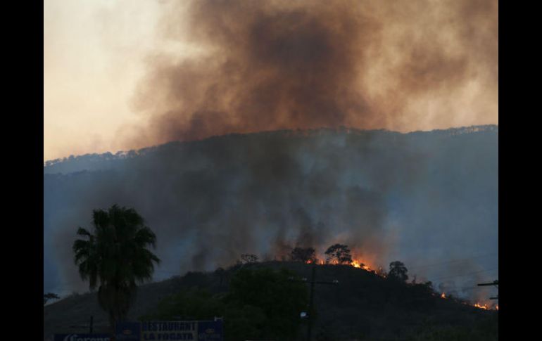El incendio del domingo pasado ocurrió en uno de los predios propiedad del Ipejal. EL INFORMADOR / ARCHIVO