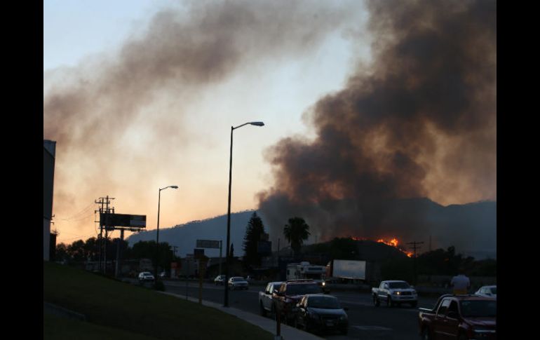 El incendio en el cerro del Tepopote afectó alrededor de mil 225 hectáreas afectadas. EL INFORMADOR / ARCHIVO
