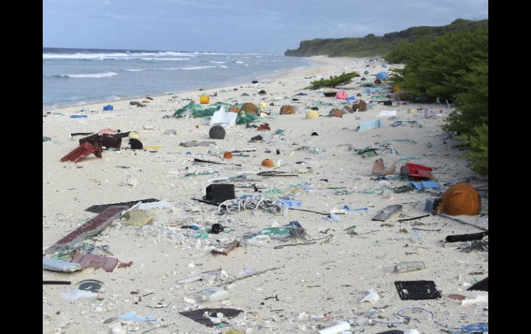 Señala que casi toda la basura que encontraron en la isla Henderson estaba hecha de plástico. AP / J. Lavers