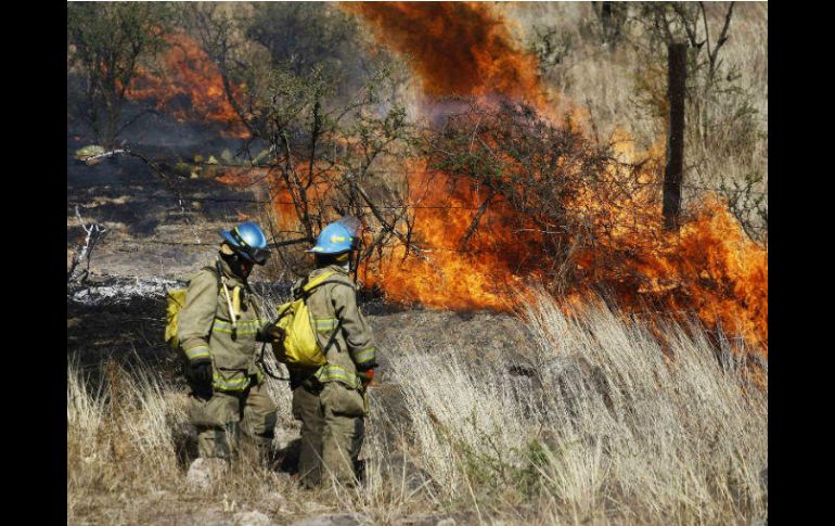 El gobernador Aristóteles Sandoval indicó que será necesario rentar más equipo contra incendios. SUN / ARCHIVO