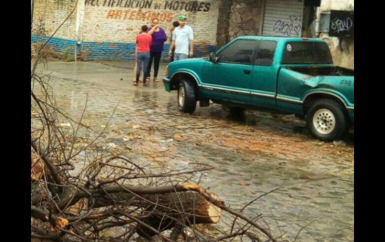 En la colonia Artesanos, un árbol cayó sobre varios vehículos. Fue retirado por la Unidad de Protección Civil y Bomberos del municipio. TWITTER / @PCTlaquepaque