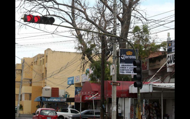 En el cruce de Avenida Manuel M. Ponce y la calle Federico Medrano hay un árbol semiseco que podría caer en alguna tormenta. EL INFORMADOR / M. Vargas