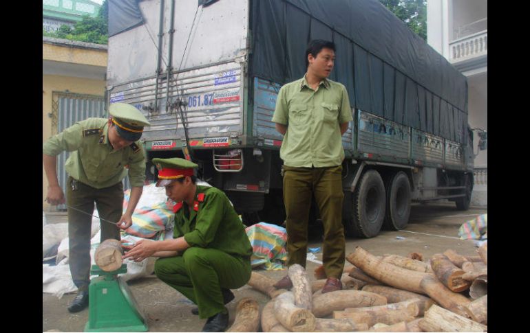 Policía vietnamita durante la detención del camión que transportaba el marfil. AFP / T. Duy