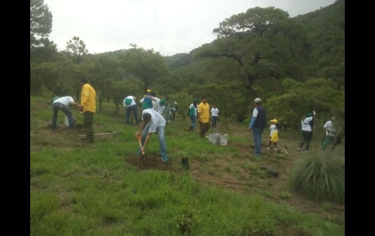 Se contará con la participación de nueve mil voluntarios para llevar a cabo los trabajos de plantación y restauración. ESPECIAL / Semadet