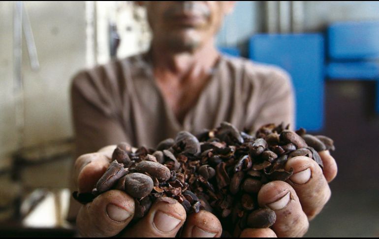 Guantánamo renace con café y chocolate