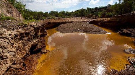 El derrame de la mina Buenavista del Cobre ha contaminado el arroyo Tinajas, el río Bacanuchi  y el río Sonora. AFP / ARCHIVO