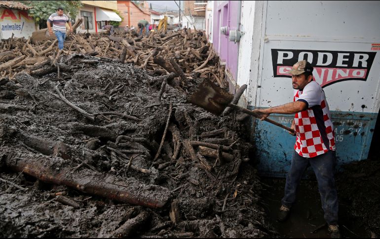 La investigación comenzó a partir del desastre ocurrido en junio en San Gabriel, del cual advertían que la causa principal fue la tala ilegal, principalmente, para la siembra de aguacate. EFE/ARCHIVO