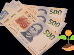 Los Cetes los emite el gobierno mexicano en pesos y se adquieren a precio de descuento. EL INFORMADOR/ ARCHIVO.