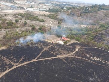 De acuerdo con datos de la CONAFOR, Jalisco es el estado con más incendios forestales en superficie con vegetación sensible al fuego, del 1 de enero al 11 de abril de ese año, con un total de 82 siniestros. CORTESÍA/ Protección Civil Zapopan.