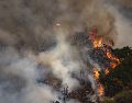 Los incendios forestales han azotado al estado de Guerrero. EFE/ARCHIVO