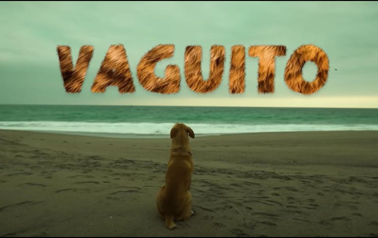 Vaguito: te esperaré en la orilla fue estrenada el 18 de abril y causó gran emoción en el público peruano. ESPECIAL