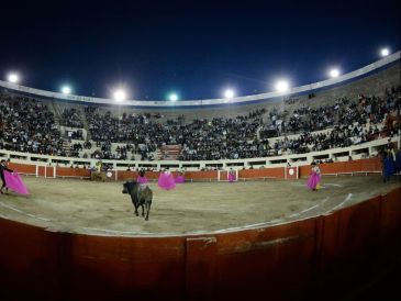 De ninguna forma implican el reconocimiento de los eventos taurinos como una práctica protegida por los derechos de la cultura: Paulín Mendoza. ESPECIAL