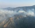 Se reportan dos incendios forestales dentro del estado. ESPECIAL/ Semadet
